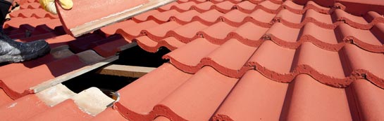 compare Belladrum roof repair quotes