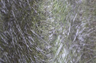 Belladrum fibreglass roof work